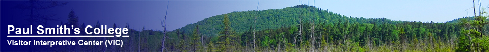 Adirondack Wetlands:  Barnum Bog at the Paul Smiths VIC