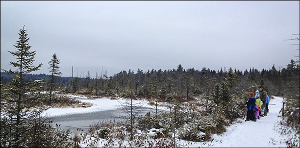 Barnum Bog from the Boreal Life Trail Boardwalk at the Paul Smiths VIC