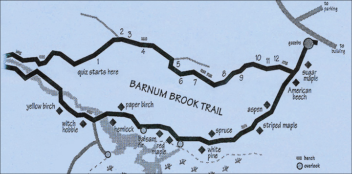 Paul Smiths VIC -- Map of Trees along the Barnum Brook Trail at the Paul Smiths VIC