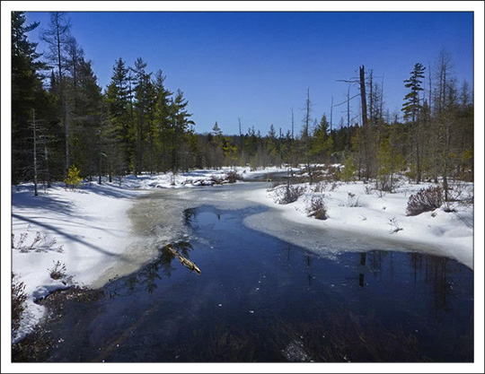 Signs of spring in the Adirondacks: Barnum Brook starting to open up (30 March 2013).  Photo by Tom Boothe.  Used by permission.