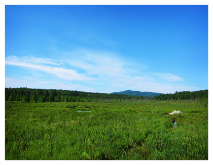 St. Regis Mountain from the Barnum Brook Trail at the Paul Smith's VIC