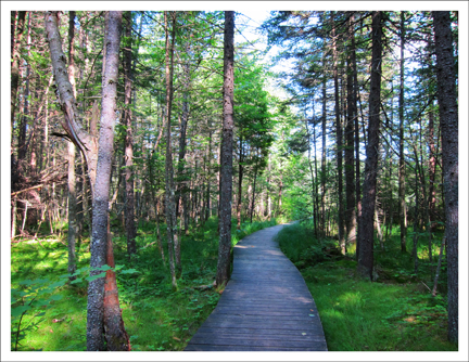 Paul Smiths Visitor Center -- Boreal Life Trail 