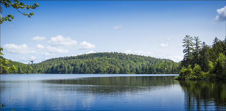 Adirondack Habitats: Black Pond from the Black Pond Trail Lean-to (10 June 2015)