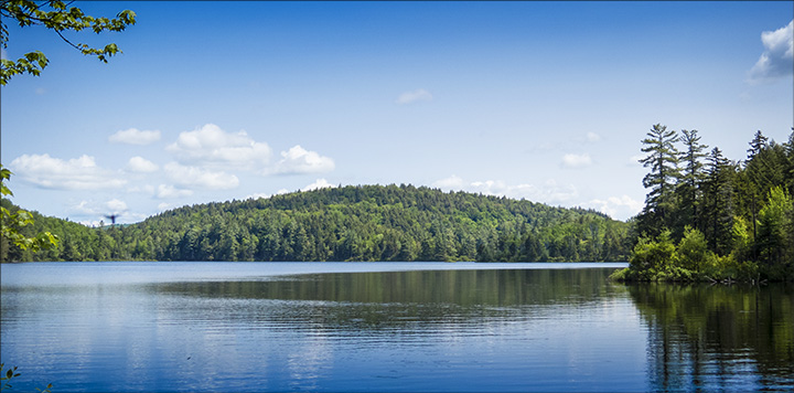 Adirondack Habitats: Black Pond from the Black Pond Trail Lean-to (10 June 2015)
