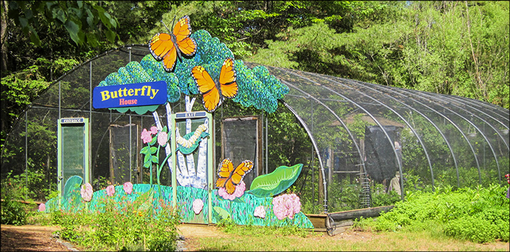 Paul Smiths VIC Native-species Butterfly House Paul Smiths VIC Native-species Butterfly House