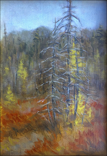 Charles Atwood King: Boreal Trail View