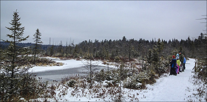 Nature Programs for Children at the Paul Smiths VIC: Exploring Adirondack Wetlands.  No School Day (30 December 2011)