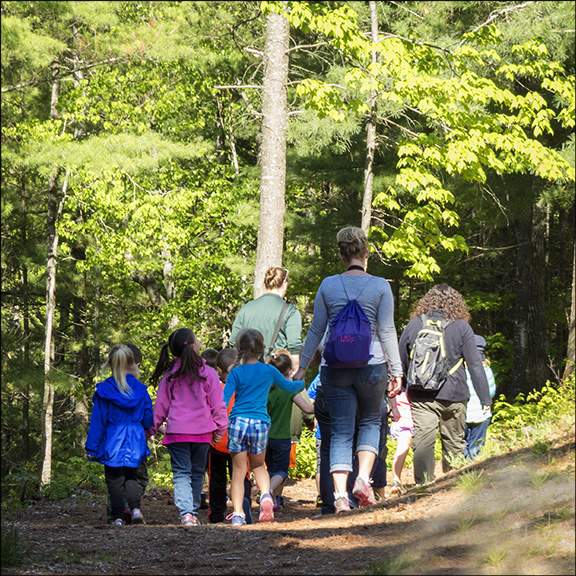 Children's Nature Programs:  No School Days (4 June 2014)