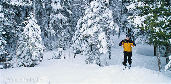 Cross Country Skiing at the Paul Smiths VIC. Photo courtesy of Nancie Battaglia.  Used by permission.