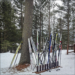 Cross country skis by the VIC building