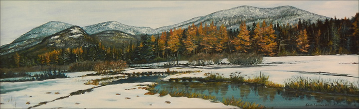 Edith Urban: Alder Brook Edith Urban: Alder Brook