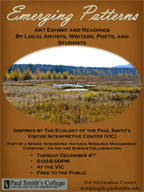 Emerging Patterns Poster Emerging Patterns Poster