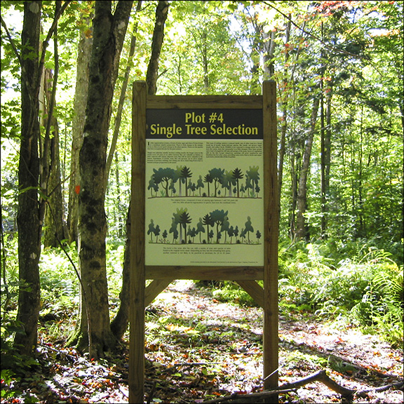 Forest Ecosystem Research and Demonstration Area interpretive sign on the Jenkins Mountain Road (20 September 2004)