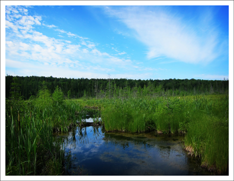 Paul Smiths VIC -- Heron Marsh from the Forest Ecology Trail Boardwalk