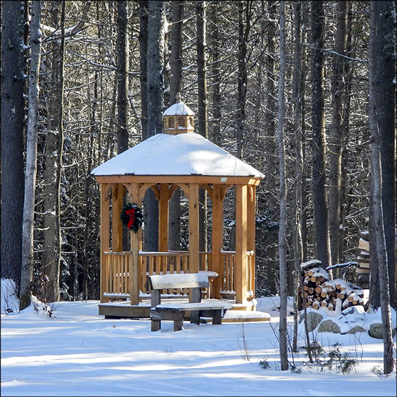 Gazebo by the VIC Building. 13 January 2015. Gazebo by the VIC Building. 13 January 2015.