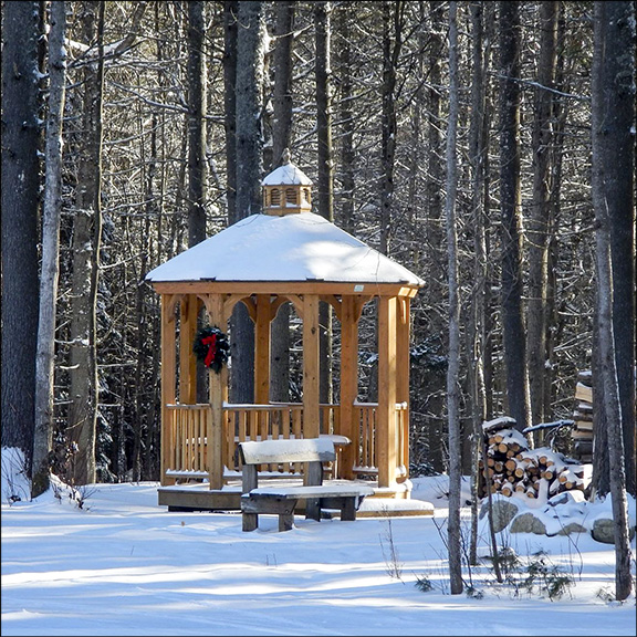 Gazebo by the VIC Building.  13 January 2015.