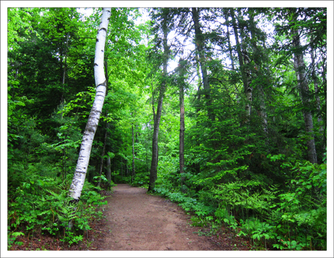 Barnum Brook Trail after the rain -- 2 June 2012