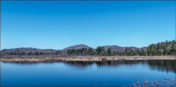 Adirondack Wetlands: Heron Marsh at the Paul Smiths VIC (23 April 2013)