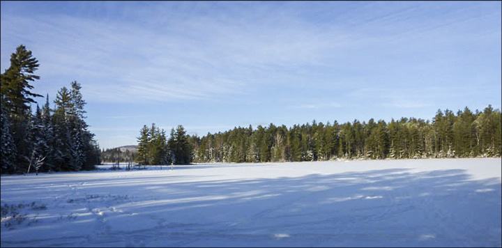 Adirondack Wetlands: Frozen Heron Marsh (4 February 2014). Photo by Tom Boothe. Used by permission.