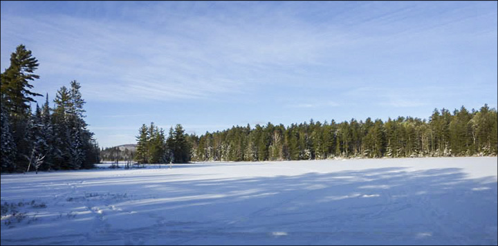Adirondack Wetlands: Frozen Heron Marsh (4 February 2014). Photo by Tom Boothe. Used by permission. Adirondack Wetlands: Frozen Heron Marsh (4 February 2014). Photo by Tom Boothe. Used by permission.