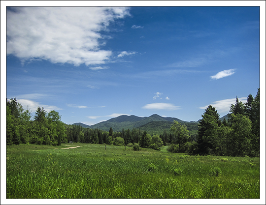 Great Adirondack Birding Celebration | Intervale Lowlands Bird Walk (2 June 2013)