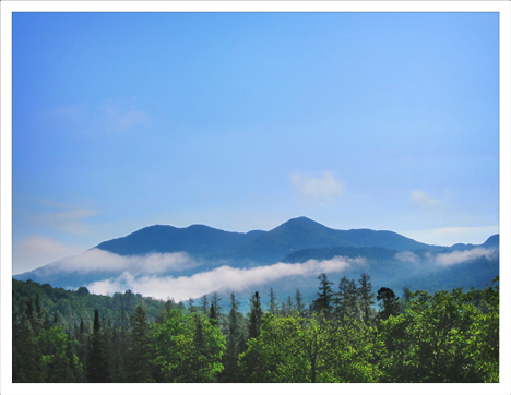 Great Adirondack Birding Celebration | Intervale Lowlands Bird Walk (3 June 2012)