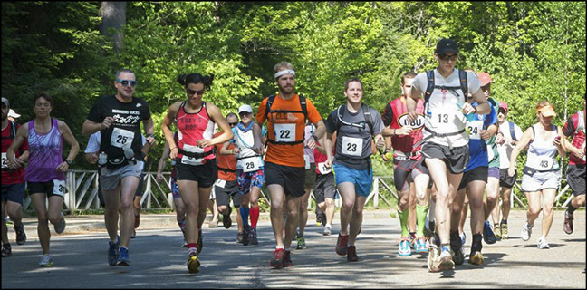 Sports at the VIC: Summer Trail Runs