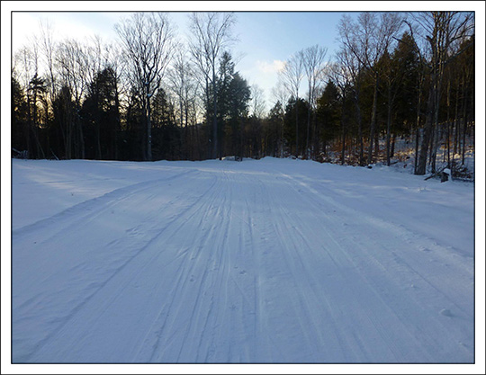 Logger's Loop Trail near Log Landing (10 January 2013). Photo by Tom Boothe. Used by permisson. Logger's Loop Trail near Log Landing (10 January 2013). Photo by Tom Boothe. Used by permisson.