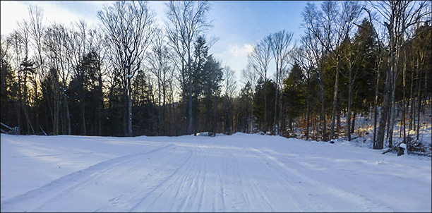 Logger's Loop Trail near Log Landing (10 January 2013).  Photo by Tom Boothe.  Used by permisson.