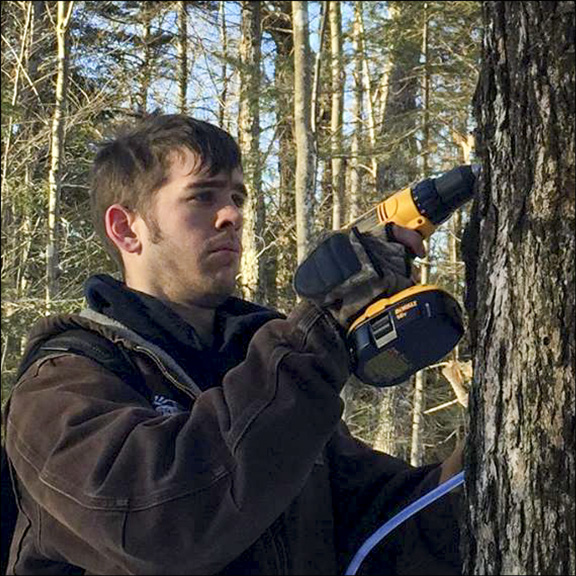 Maple Tapping Workshop