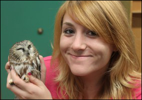 Northern Saw-whet Owl Banding Program