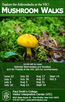 Mushroom Walks 2014 Poster