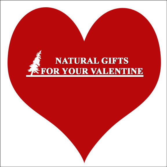 Workshops at the VIC:  Natural Gifts for your Valentine