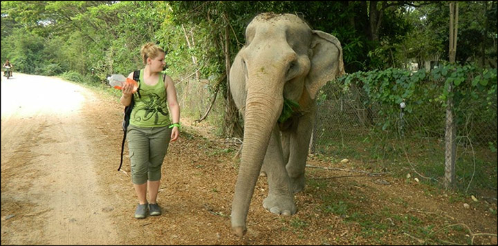 Nicole Schmidt. Wildlife Friends Foundation Thailand. Photo courtesy of Nicole Schmidt. Used by permission. Nicole Schmidt. Wildlife Friends Foundation Thailand. Photo courtesy of Nicole Schmidt. Used by permission.