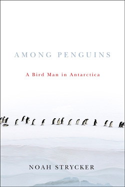 Strycker spent three months, from November 2008 to January 2009, living and studying Adelie Penguins at Cape Crozier, Antarctica.