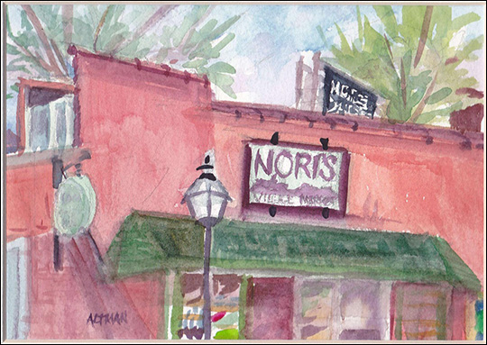 Nori's Village Market at 68 Main Street, Saranac Lake, New York