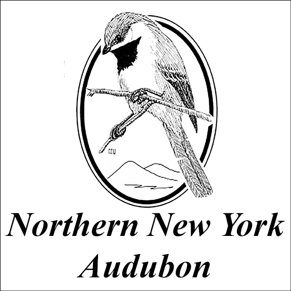Northern New York Audubon