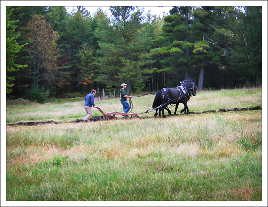 Adirondack Rural Skills and Homesteading Festival: Demonstration by the Paul Smith's College Draft Horse Club (29 September 2012)