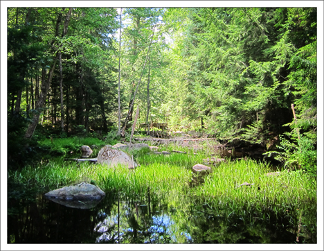 Paul Smiths VIC -- Barnum Brook from the Barnum Brook Trail (21 July 2012)