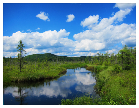 Paul Smiths College Visitor Interpretive Center -- Barnum Bog (12 July 2012)