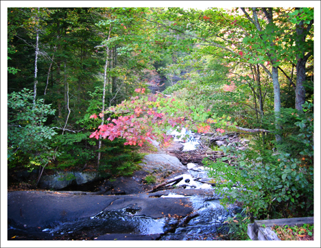 Paul Smiths VIC -- Shingle Miill Falls on the Shingle Mill Falls Trail