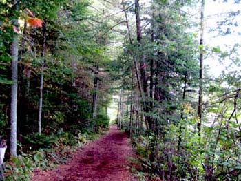 Paul Smiths Visitor Interpretive Center -- Shingle Mill Falls Trail