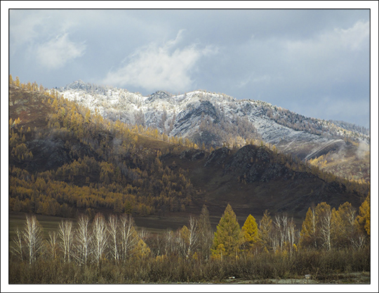 Seminsky Pass in the Altay Region of Siberia (19 October 2012). From Celia Evans' Blog: Notes and thoughts from the Golden Mountains of Altai