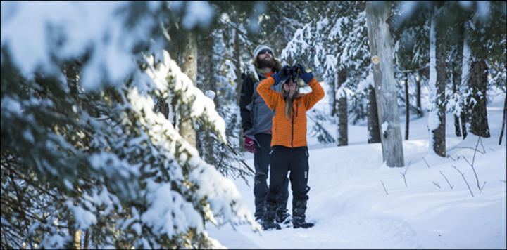 Snowshoe Birding at the VIC