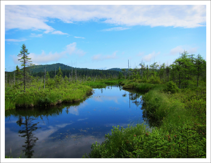 Paul Smiths Visitor Center -- Barnum Brook from the Boreal Life Trail -- 13 July 2011