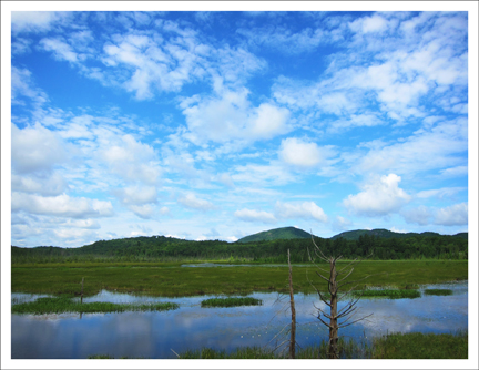 Paul Smiths Visitor Center:  Heron Marsh (13 July 2011)