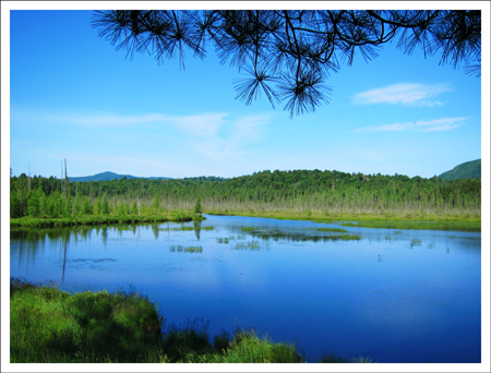 Paul Smiths VIC: St. Regis Mountain from the Barnum Pond overlook