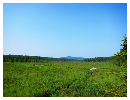 Paul Smiths Visitor Center: Saint Regis Mountain and Heron Marsh from the Barnum Brook Trail (20 July 2011)