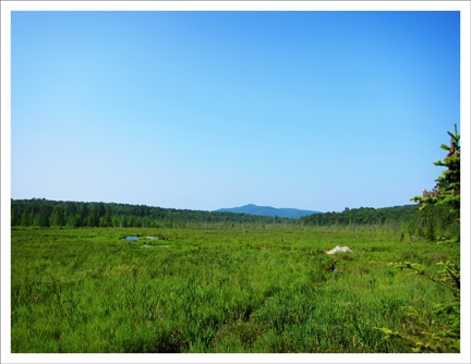 Paul Smiths Visitor Center: Saint Regis Mountain and Heron Marsh from the Barnum Brook Trail (20 July 2011) Paul Smiths Visitor Center: Saint Regis Mountain and Heron Marsh from the Barnum Brook Trail (20 July 2011)