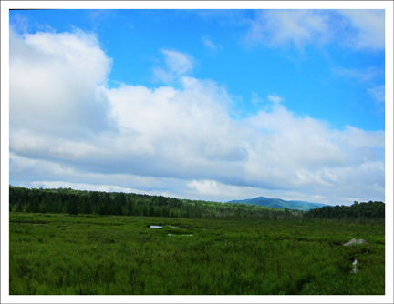 Adirondack Wetlands: Heron Marsh from the Barnum Brook Trail at the Paul Smith's College Visitor Interpretive Center (27 July 2011)